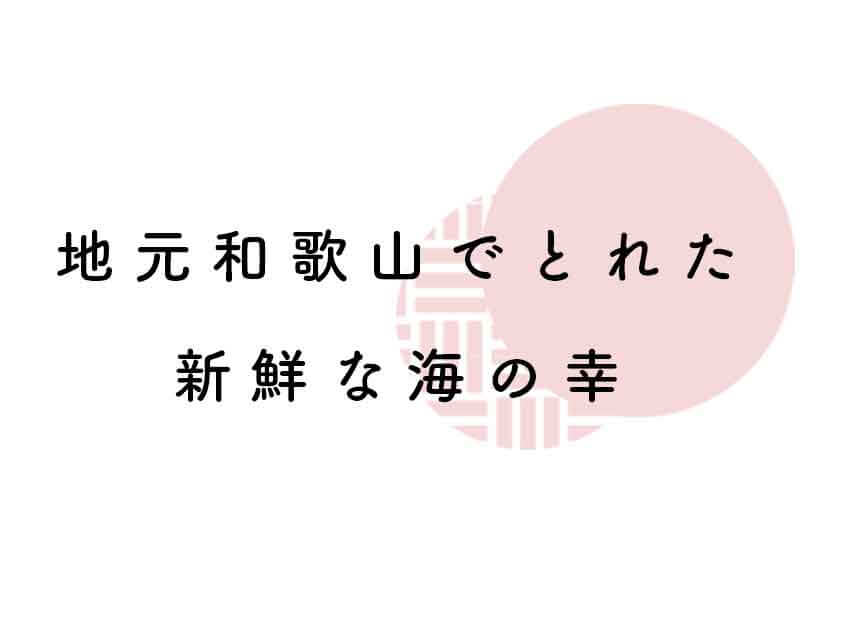 地元和歌山でとれた新鮮な海の幸