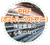 PHF（ポストハーベストフリー）